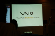 vaio_01.jpg