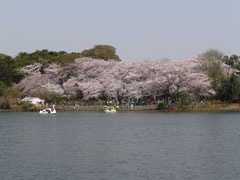 Senzokuike Park