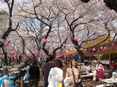 Senzokuike Park