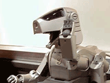 AIBO r[